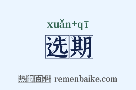 选期是什么意思的图片